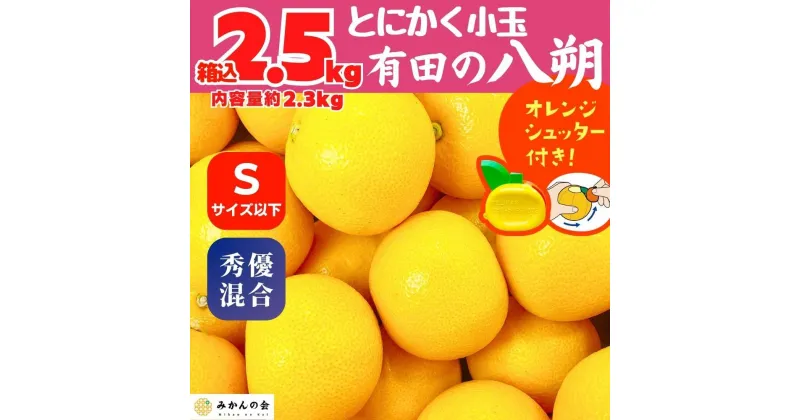 【ふるさと納税】八朔 (はっさく) とにかく 小玉 箱込 2.5kg(内容量約 2.3kg) 秀品 優品 混合 Sサイズ以下 和歌山県産 産地直送【おまけ付き】【みかんの会】 | みかん 八朔 和歌山 大玉 秀 優 産地直送 和歌山県 有田川町 ふるさと納税 返礼品 故郷納税