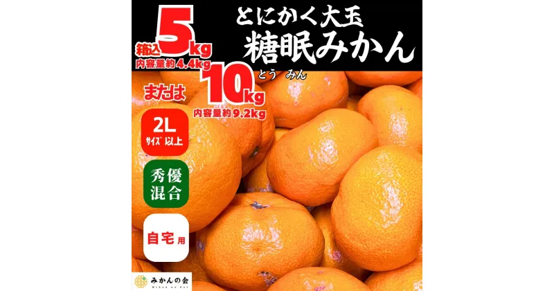 【ふるさと納税】熟成 みかん とにかく 大玉 箱込5kg または 10kg 2Lサイズ以上 秀品 優品 混合 有田みかん 和歌山産 産地直送 家庭用【みかんの会】 | 和歌山 フルーツ 果物 くだもの かんきつ 柑橘 柑橘類 みかんの会 送料込み 送料無料