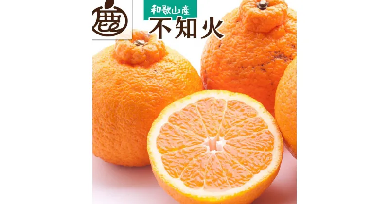 【ふるさと納税】＜先行予約＞厳選 不知火1kg+30g（傷み補償分）【デコポンと同品種・人気の春みかん】＜2月より発送＞ | みかん 蜜柑 フルーツ 果物 くだもの 食品 人気 おすすめ 送料無料 人気の春みかん