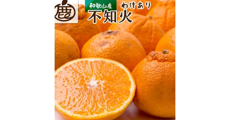 【ふるさと納税】＜先行予約＞家庭用 不知火2kg+60g（傷み補償分）【デコポンと同品種・人気の春みかん】【わけあり・訳あり】＜2月より発送＞ | みかん 蜜柑 フルーツ 果物 くだもの 食品 人気 おすすめ 送料無料 人気の春みかん わけあり