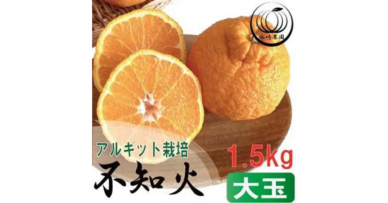 【ふるさと納税】アルギット 不知火 約1.5kg 大玉 サイズ（5～6玉）| 先行予約 不知火 デコ みかん 甘い おいしい ジューシー 完熟 期間限定 数量限定 フルーツ 果物 柑橘 人気 おすすめ 高級 こだわり ギフト 旬 お取り寄せ 送料無料 和歌山 有田川町