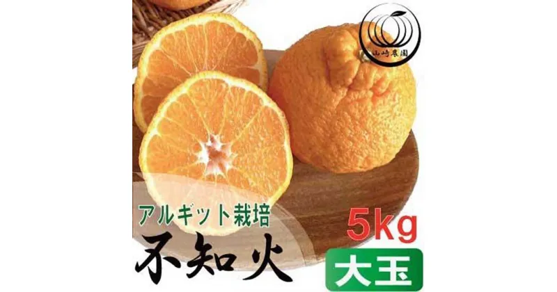 【ふるさと納税】アルギット 不知火 約5kg 大玉 サイズ（15～18玉）| 先行予約 不知火 デコ みかん 甘い おいしい ジューシー 完熟 期間限定 数量限定 フルーツ 果物 柑橘 人気 おすすめ 高級 こだわり ギフト 旬 お取り寄せ 送料無料 和歌山 有田川町