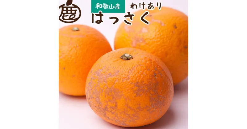 【ふるさと納税】＜1月より発送＞家庭用はっさく3.5kg+105g（傷み補償分）【八朔みかん・ハッサク】【わけあり・訳あり】＜1月より発送＞ | みかん 蜜柑 フルーツ 果物 くだもの 食品 人気 おすすめ 送料無料 八朔みかん ハッサク わけあり