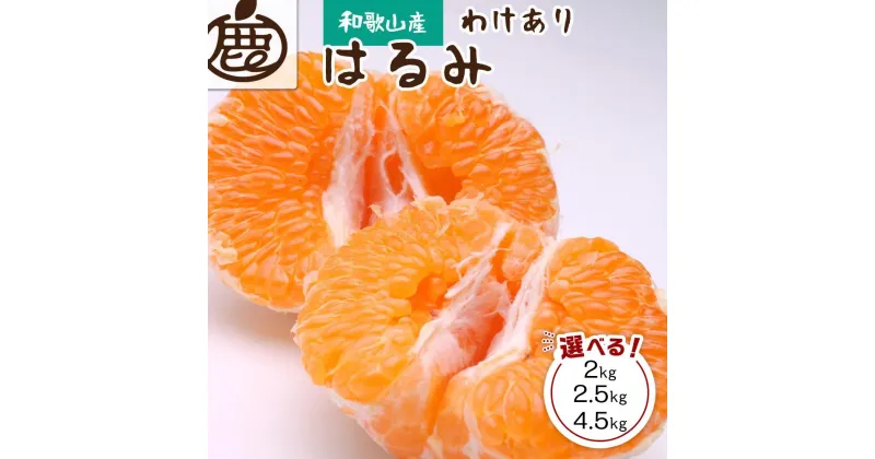 【ふるさと納税】【選べる内容量（2kg・2.5kg・4.5kg）】＜2月より発送＞家庭用はるみ【デコポンの姉妹品種・新食感春みかん】【光センサー選別】【わけあり・訳あり】 | みかん 蜜柑 フルーツ 果物 くだもの 食品 人気 おすすめ 送料無料 不知火の姉妹品種