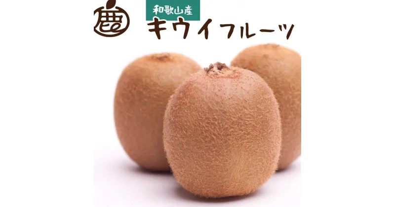 【ふるさと納税】＜11月より発送＞厳選キウイフルーツ1.7kg+51g（傷み補償分） | キウイ フルーツ 果物 くだもの 食品 人気 おすすめ 送料無料