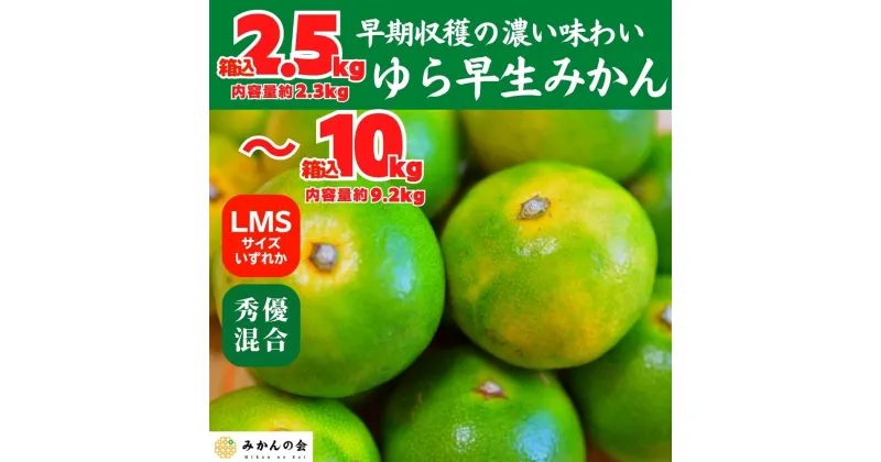 【ふるさと納税】ゆら早生 みかん 箱込 2.5～10kg SMLサイズのいずれか 秀品 優品 混合 有田みかん 和歌山県産 【みかんの会】 | 和歌山 フルーツ 果物 くだもの かんきつ 柑橘 柑橘類 みかんの会 送料込み 送料無料