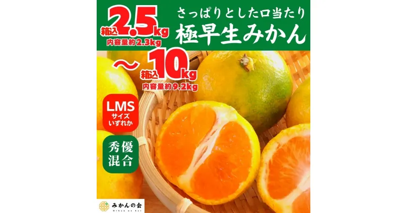 【ふるさと納税】みかん 極早生 箱込2.5～10kg S/M/Lサイズのいずれか 秀品 優品 混合 有田みかん 和歌山県産 【みかんの会】