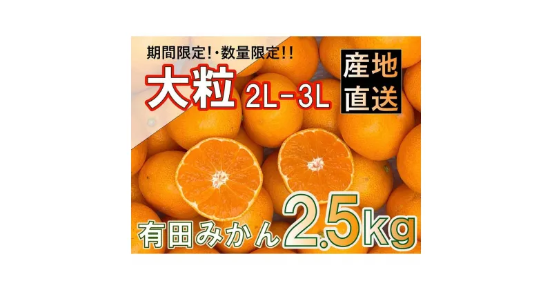 【ふるさと納税】【先行予約】和歌山県産 有田みかん 大粒サイズ 2.5kg | みかん 蜜柑 フルーツ 果物 くだもの 食品 人気 おすすめ 送料無料