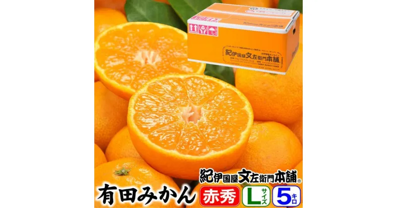 【ふるさと納税】ブランド有田みかん【Lサイズ】秀品5kg／産地直送／薄皮で甘い美味しい和歌山県産／紀伊国屋文左衛門本舗 | みかん 蜜柑 フルーツ 果物 くだもの 食品 人気 おすすめ 送料無料