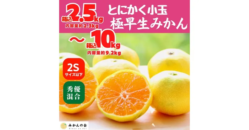 【ふるさと納税】小玉みかん 極早生 箱込2.5～10kg 2Sサイズ以下 秀品 優品 混合 有田みかん 和歌山県産 【みかんの会】　