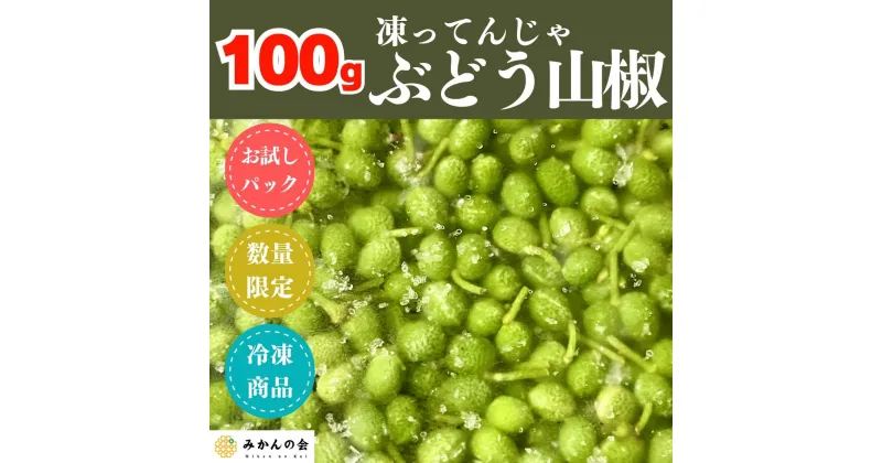 【ふるさと納税】【6月下旬出荷予定】冷凍山椒 凍ってんじゃ ぶどう山椒 100g 和歌山県産 【みかんの会】 | 冷凍 冷凍山椒 れいとう れいとうさんしょう