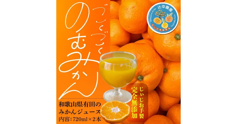 【ふるさと納税】【爽やかなのに濃い！】無添加ストレートみかんジュース 720ml 2本 | ジュース飲料 果実飲料 ドリンク 食品 人気 おすすめ 送料無料