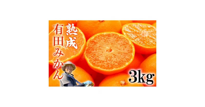 【ふるさと納税】【先行予約】熟成　有田みかん 3kg（約30個）【11月20日以降順次発送】 | みかん 蜜柑 フルーツ 果物 くだもの 食品 人気 おすすめ 送料無料