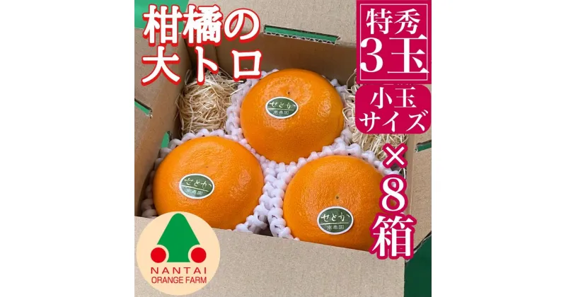 【ふるさと納税】お試し規格 柑橘の大トロ ハウス せとか 厳選 小玉 3玉入 手さげ箱 × 8箱 南泰園 和歌山 有田 | フルーツ 果物 くだもの 食品 人気 おすすめ 送料無料