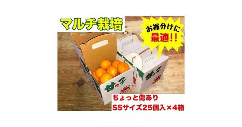 【ふるさと納税】手さげ箱 ちょっと傷 マルチ栽培 有田 みかん SS サイズ 25個入 × 4箱 南泰園 | フルーツ 果物 くだもの 食品 人気 おすすめ 送料無料