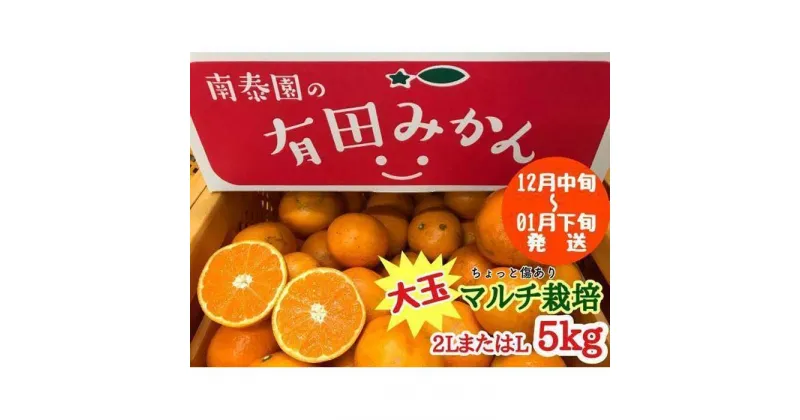 【ふるさと納税】ちょっと 傷あり マルチ栽培 有田 みかん 大玉 2L または L サイズ 5kg 南泰園 | フルーツ 果物 くだもの 食品 人気 おすすめ 送料無料