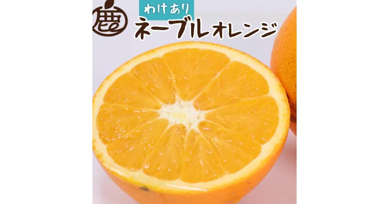 【ふるさと納税】＜2月より発送＞家庭用 ネーブルオレンジ7.5kg+225g（傷み補償分）【訳あり・わけあり】【光センサー選別】 | オレンジ フルーツ 果物 くだもの 食品 人気 おすすめ 送料無料