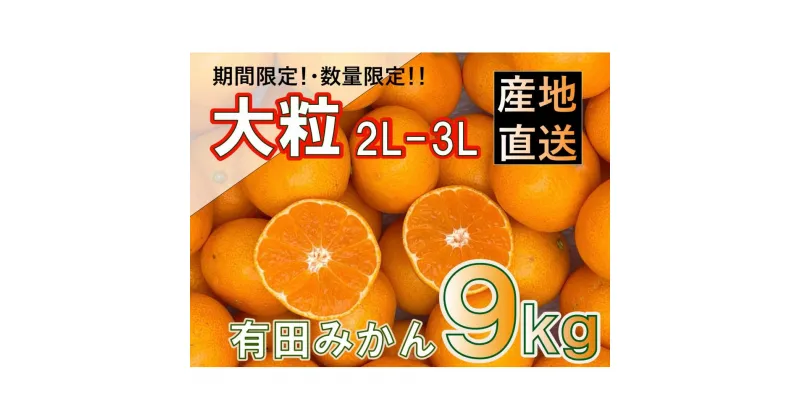 【ふるさと納税】【先行予約】和歌山県産 有田みかん 大粒サイズ 9kg 2L～3L | 不知火 しらぬい デコポン デコ ふるさと 納税 秀 糖度 甘い　完熟 濃厚 コク ジューシー みかん 温州 ミカン 蜜柑 ミカン 柑橘 果物 和歌山県 有田川町 有田 ありだ