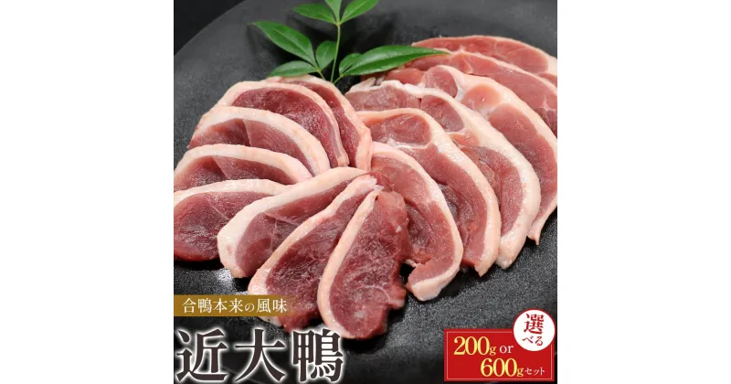 【ふるさと納税】【選べる容量】近大鴨 合計200g or 600g セット 鴨 かも | 肉 お肉 にく 食品 鴨 人気 おすすめ 送料無料 ギフト