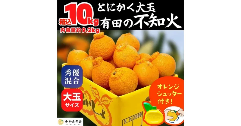 【ふるさと納税】不知火 大玉 どっこいしょ 箱込 10kg (内容量約 9.2kg) 秀優混合 和歌山県産 【みかんの会】 | 有田 和歌山 プレゼント 贈り物 フルーツ 果物 柑橘 柑橘類 季節 うまい 送料込み 送料無料