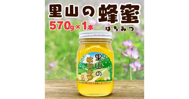 【ふるさと納税】ありだ里山の蜂蜜 570g 化粧箱入り | はちみつ 蜂蜜 みかん 蜜柑 柑橘 贈り物 ギフト 贈答用 パン フレーバー 和歌山県 有田川町 ふるさと納税 返礼品 故郷納税