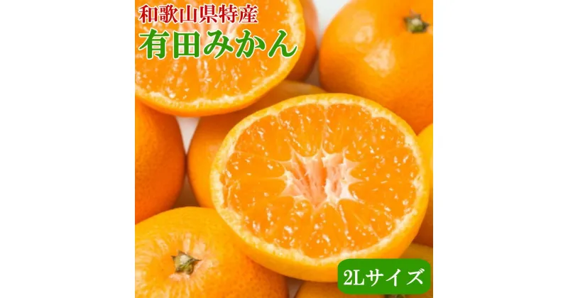 【ふるさと納税】[秀品]和歌山有田みかん9kg(2Lサイズ) ふるさと納税 ミカン ※2024年11月中旬～2025年1月中旬頃に順次発送予定