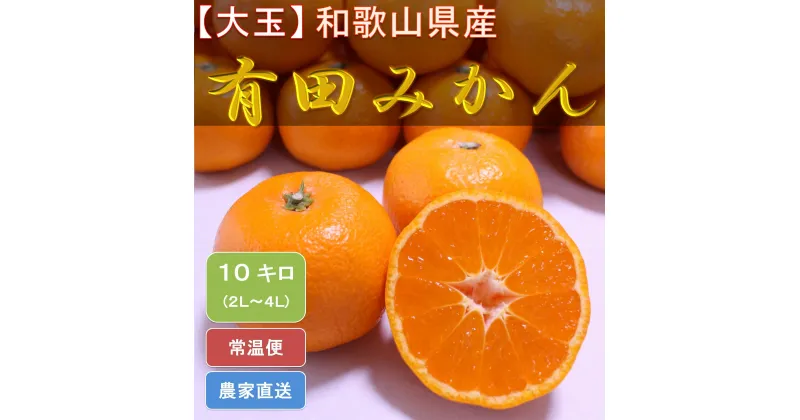 【ふるさと納税】[大玉]和歌山県産 有田みかん10kg（2L～4Lサイズおまかせ）ひとつひとつ手選別で厳選！生産者から直送◇ ※2024年11月下旬頃より順次発送予定