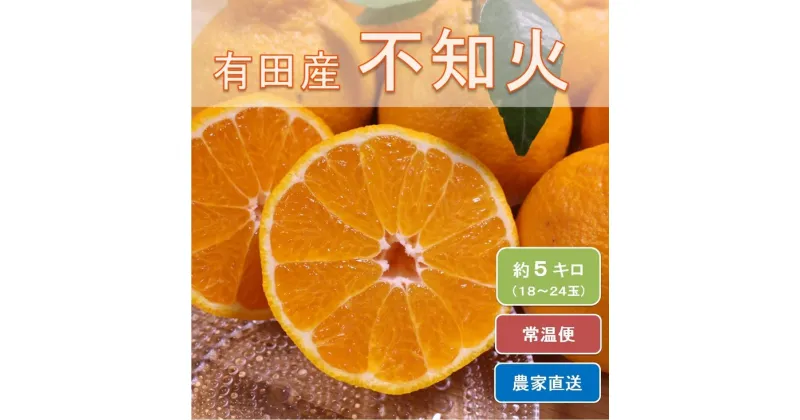 【ふるさと納税】和歌山県有田産 不知火 約5kg（18～24玉）ひとつひとつ手選別で厳選！生産者から直送◇ ※2025年2月中旬頃より順次発送予定