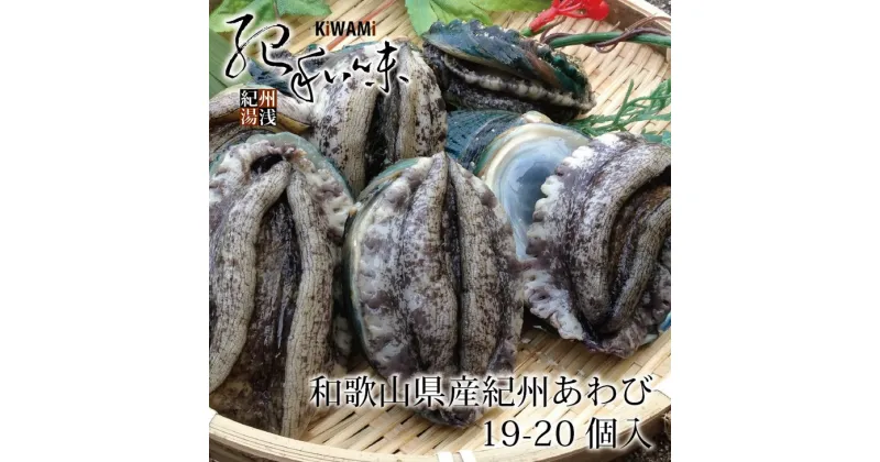 【ふるさと納税】やわコリ食感紀州活アワビ 【19-20個入】