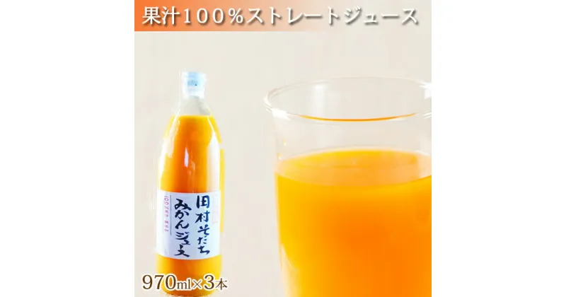 【ふるさと納税】果汁100%田村そだちみかんジュース　970ml×3本