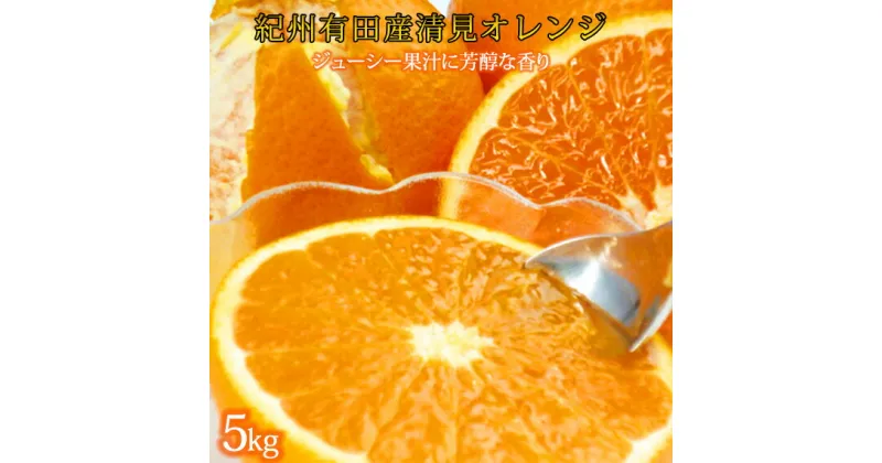 【ふるさと納税】とにかくジューシー清見オレンジ　5kg※2025年3月下旬〜4月中旬頃に順次発送予定