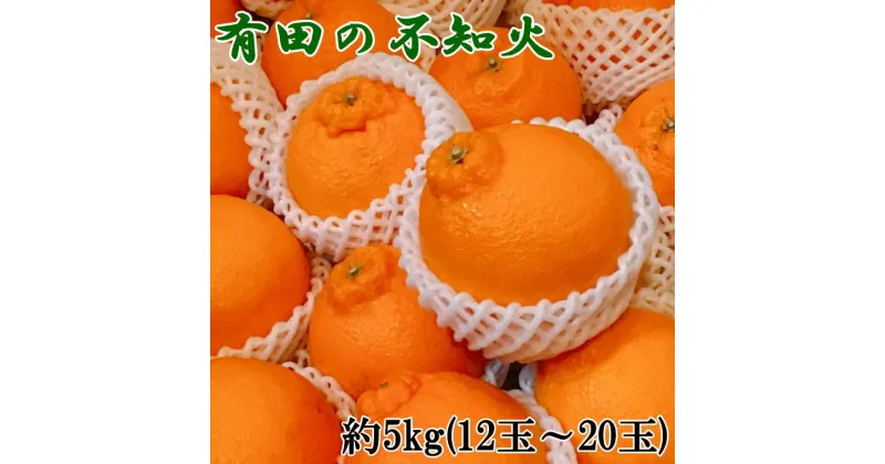 【ふるさと納税】【濃厚】有田の不知火約5kg（12玉～20玉）※2025年2月中旬～3月上旬頃に順次発送予定