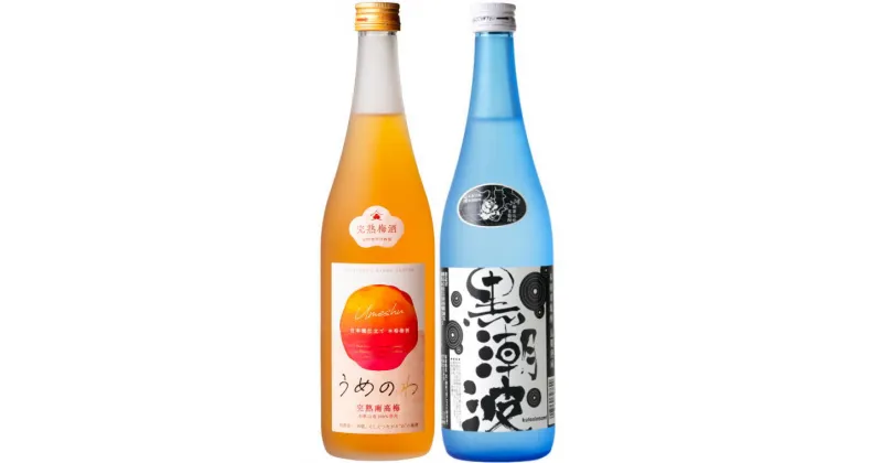 【ふるさと納税】焼酎 黒潮波（くろしおなみ）720mlと紀州完熟南高梅「梅酒」720mlの2本セット