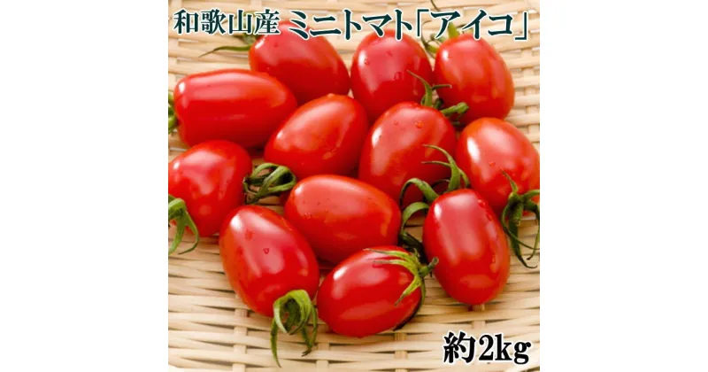 【ふるさと納税】【選べる発送月】和歌山産ミニトマト「アイコトマト」約2kg（S・Mサイズおまかせ）※北海道、沖縄、離島への配送不可