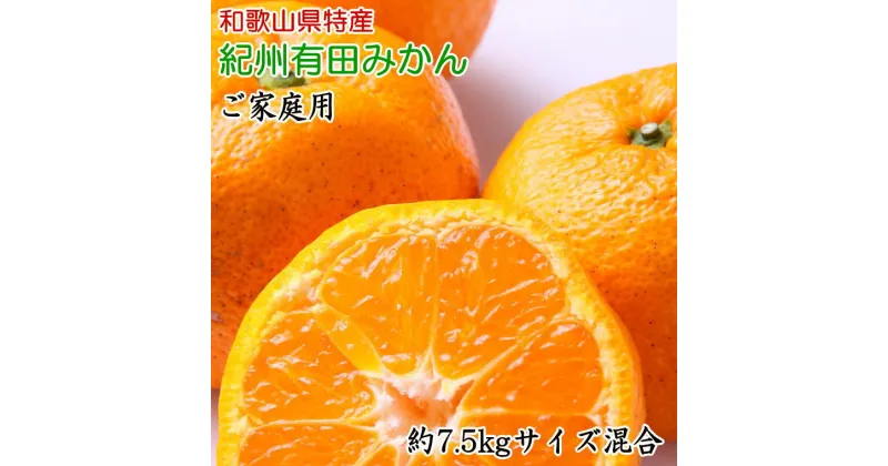 【ふるさと納税】[ご家庭用]有田みかん約7.5kg(サイズ混合)　※2024年11月中旬～2025年1月中旬頃に順次発送予定