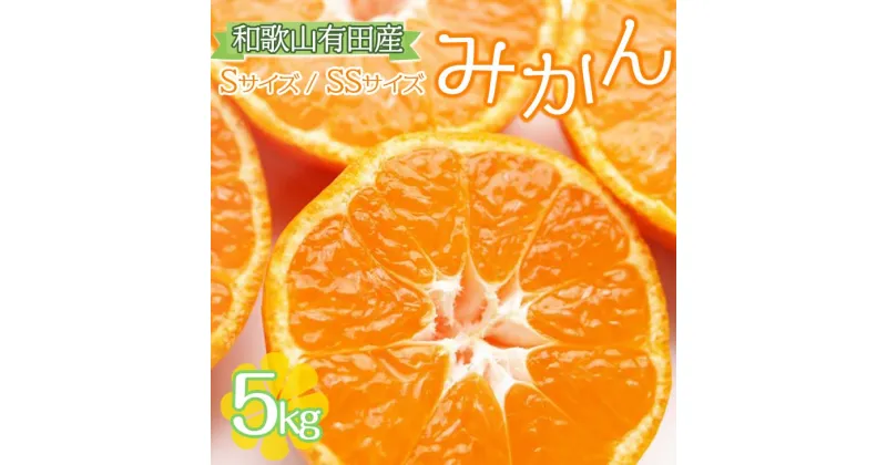 【ふるさと納税】【ご家庭用】和歌山有田みかん約5kg(SS、Sサイズ) ◇| みかん ミカン mikan 有田みかん s ss 5kg 柑橘 温州ミカン 温州みかん 先行予約※北海道・沖縄・離島への配送不可※2024年10月中旬～2025年1月下旬頃に順次発送予定