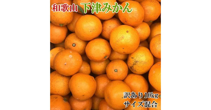 【ふるさと納税】【訳あり】和歌山下津みかん10kgご家庭用向け(サイズ混合)※2024年11月中旬～2025年1月中旬頃に順次発送予定