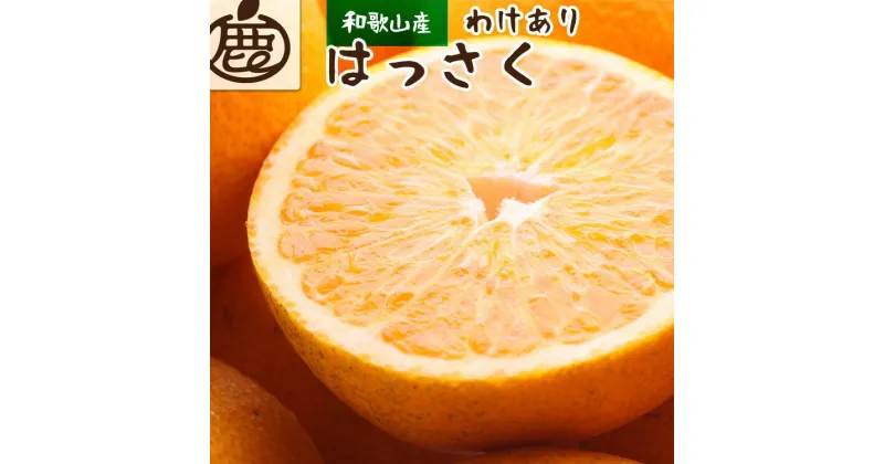 【ふるさと納税】＜1月より発送＞家庭用 はっさく8kg+240g（傷み補償分） ｜ 八朔みかん わけあり ※2025年1月上旬～3月下旬頃に順次発送予定 ※北海道・沖縄・離島への配送不可