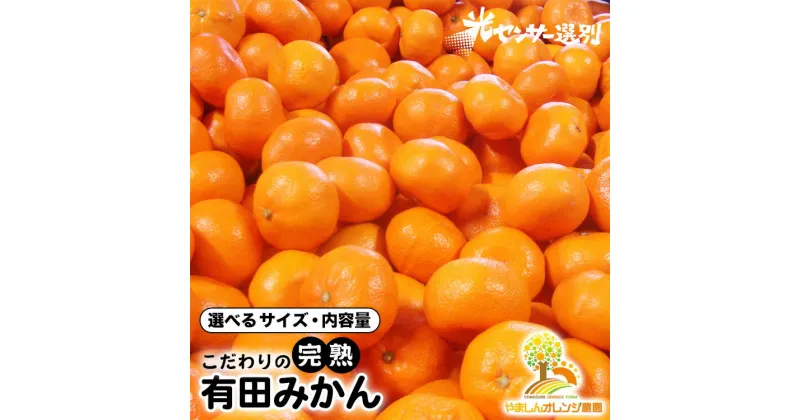 【ふるさと納税】＼光センサー選別／完熟有田みかん 選べるサイズ・内容量　有機質肥料100%※2024年11月中旬～2025年1月上旬頃に順次発送予定※沖縄・離島への配送不可