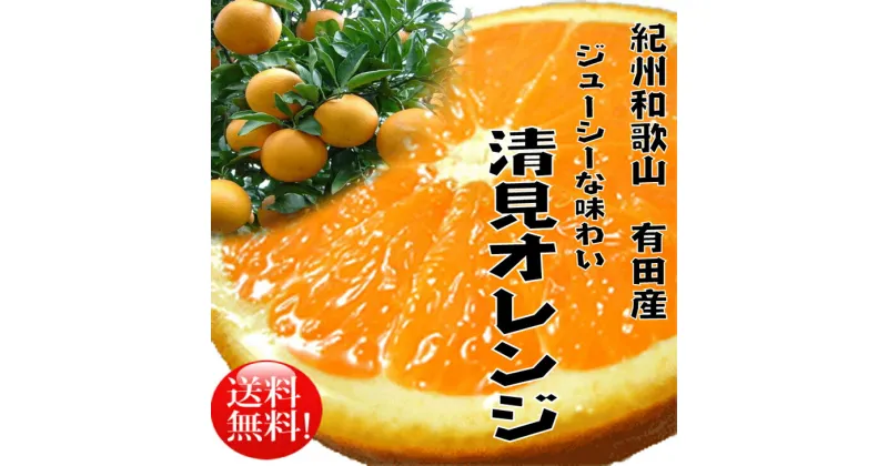 【ふるさと納税】果汁たっぷり！清見オレンジ 約10kg 有機質肥料100%〈先行予約受付〉＼光センサー選別／ ※2025年3月上旬～3月下旬頃に順次発送予定 ※沖縄・離島への配送不可