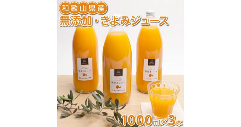 【ふるさと納税】無添加・きよみジュース1000ml×3本◇※着日指定不可※北海道・沖縄・離島への配送不可