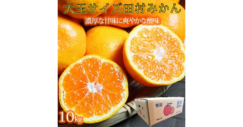 【ふるさと納税】高級ブランド田村みかん　10kg　大玉サイズ※2024年11月下旬〜2025年1月下旬頃に順次発送予定