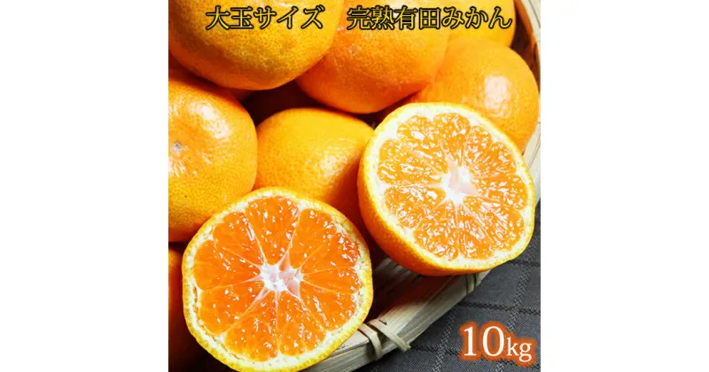 【ふるさと納税】大玉サイズ　完熟有田みかん　10kg※2024年11月下旬〜2025年1月下旬頃に順次発送予定