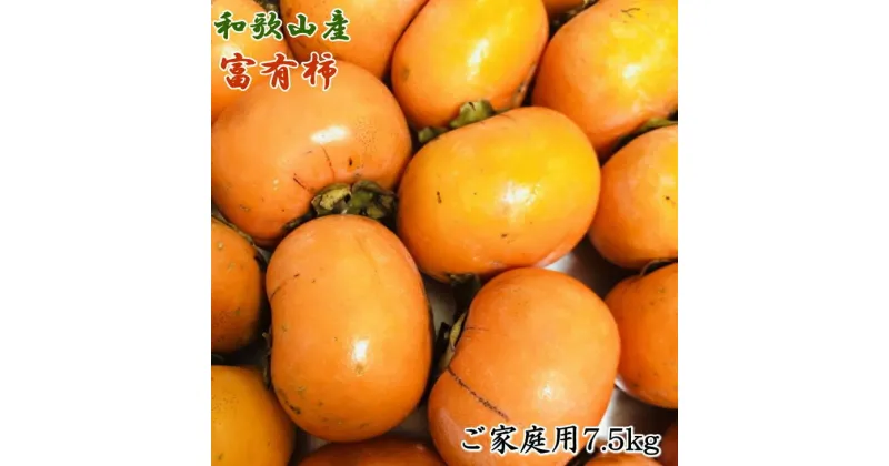 【ふるさと納税】和歌山産富有柿ご家庭用約7.5kg※2024年11月上旬～12月上旬頃に順次発送予定※離島への配送不可