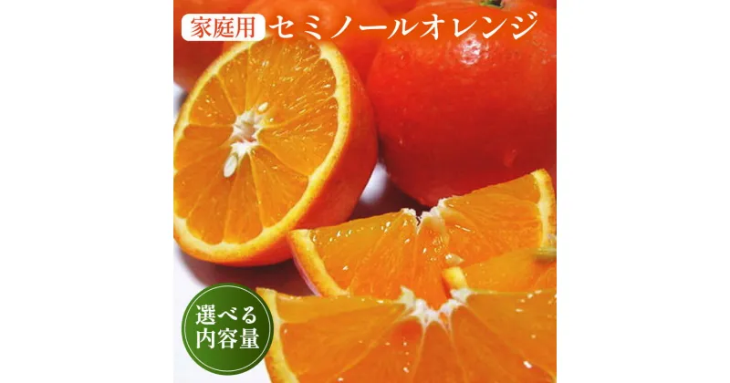 【ふるさと納税】【先行予約】＼選べる内容量／【春の美味】【農家直送】爽快カンキツ　セミノールオレンジ（ご家庭用） ※2025年4月上旬～4月下旬頃に順次発送予定 ※沖縄・離島への配送不可