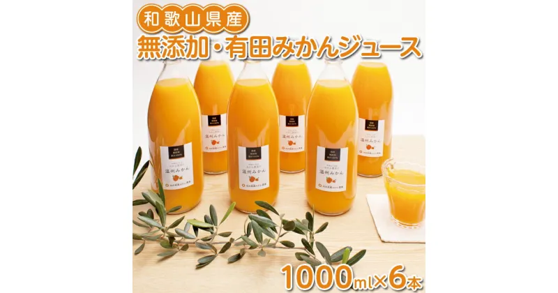 【ふるさと納税】無添加・有田みかん100%ストレートジュース1000ml×6本◇※着日指定不可※北海道・沖縄・離島への配送不可