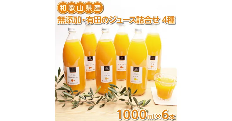 【ふるさと納税】無添加・有田のジュース詰合せ1000ml×6本・4種◇※着日指定不可※北海道・沖縄・離島への配送不可