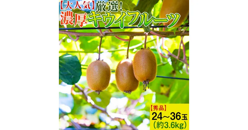 【ふるさと納税】【大人気】厳選！ 濃厚キウイフルーツ【秀品】24～36玉(約3.6kg) ｜ くだもの 果物 フルーツ 産地直送 ※2025年1月中旬～3月上旬頃より順次発送予定