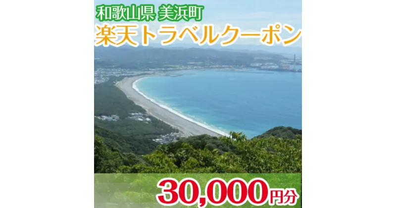 【ふるさと納税】和歌山県美浜町の対象施設で使える楽天トラベルクーポン 寄付額100,000円