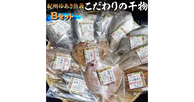 【ふるさと納税】紀州ゆあさ魚義 こだわりの干物　Bセット≪サバ タイ サンマ アジ カマス おかず 冷凍 詰め合わせ≫◆